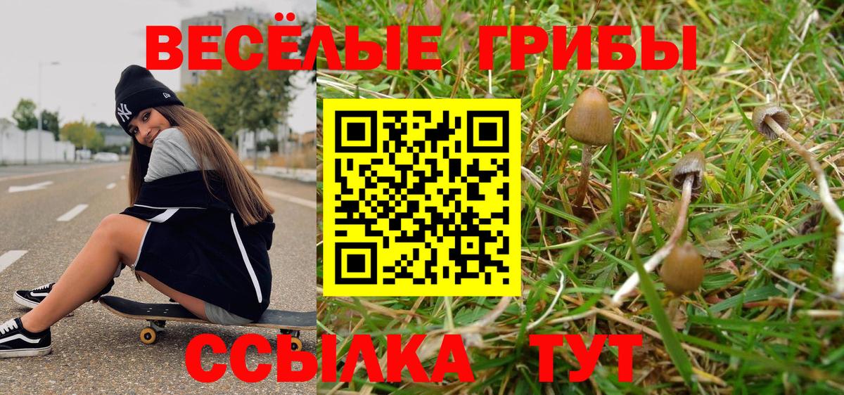 Бирск  Псилоцибиновые грибы ЛСД  Вход с VPN 